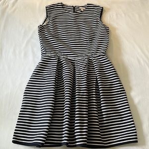 Gap Fit & Flare Dress